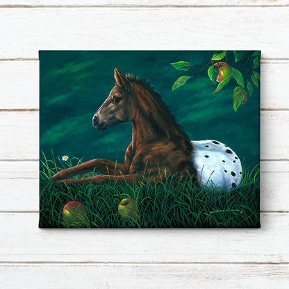 "Apple Loosa" - Appaloosa Horse Colt Art Print