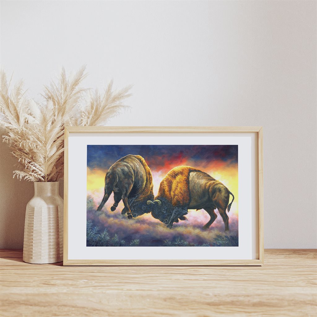 "Courage" - Bison Buffalo Bull Fight Art Print