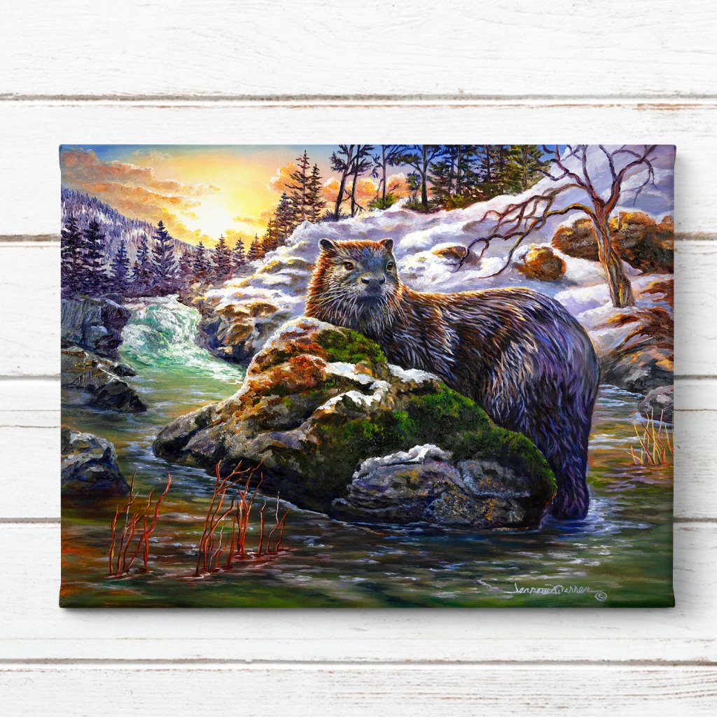 River Otter and Sunset Art Print - Golden Discovery - A majestic river otter rests on a snow-covered rock in a winter landscape, surrounded by teal waters and illuminated by a brilliant golden sunset. Pine trees and snow-laden branches frame the serene winter scene.