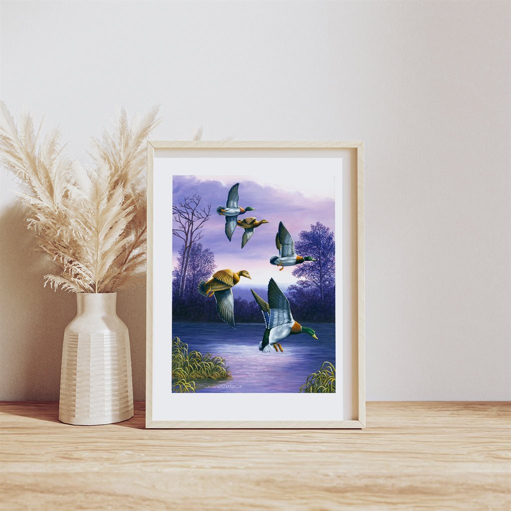 Mallard Ducks in Flight Art Print - "Green Heads" features five mallards descending over purple-hued waters at sunset. The vibrant wildlife scene shows three male ducks with iridescent green heads and two females gliding towards a marshy lake, set against a dreamy twilight landscape with silhouetted trees.