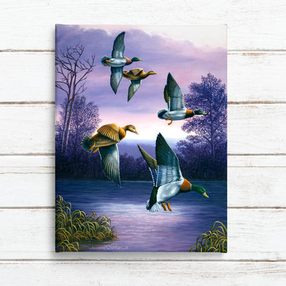 Mallard Ducks in Flight Art Print - "Green Heads"