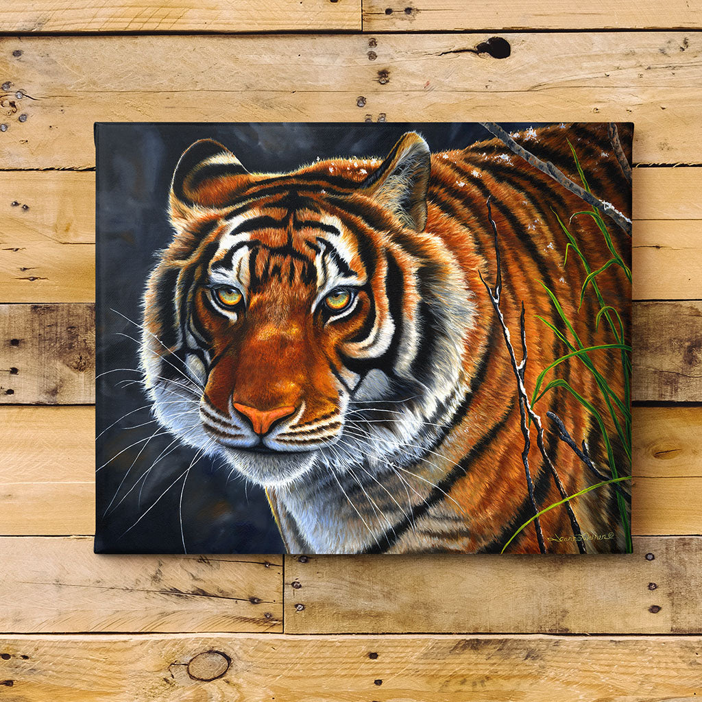 Canvas prints of a Siberian deals Tiger